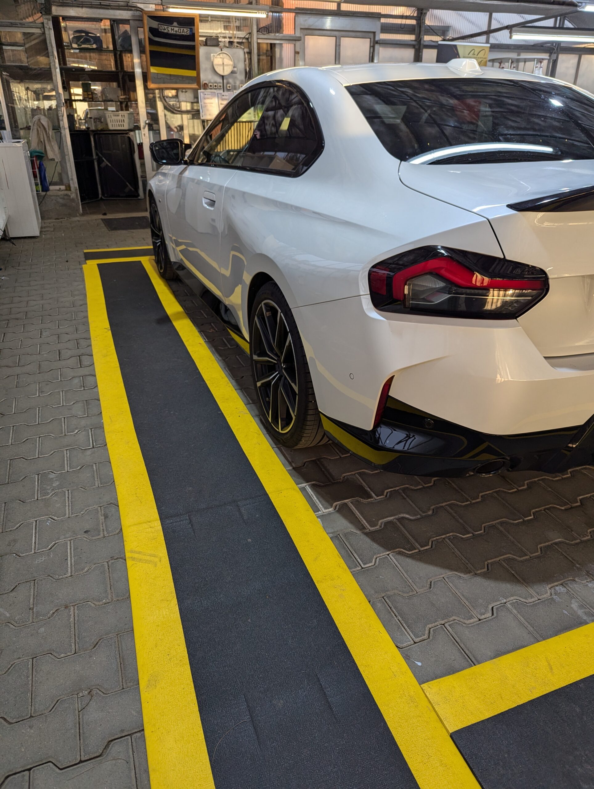 PXL_20241013_155543294