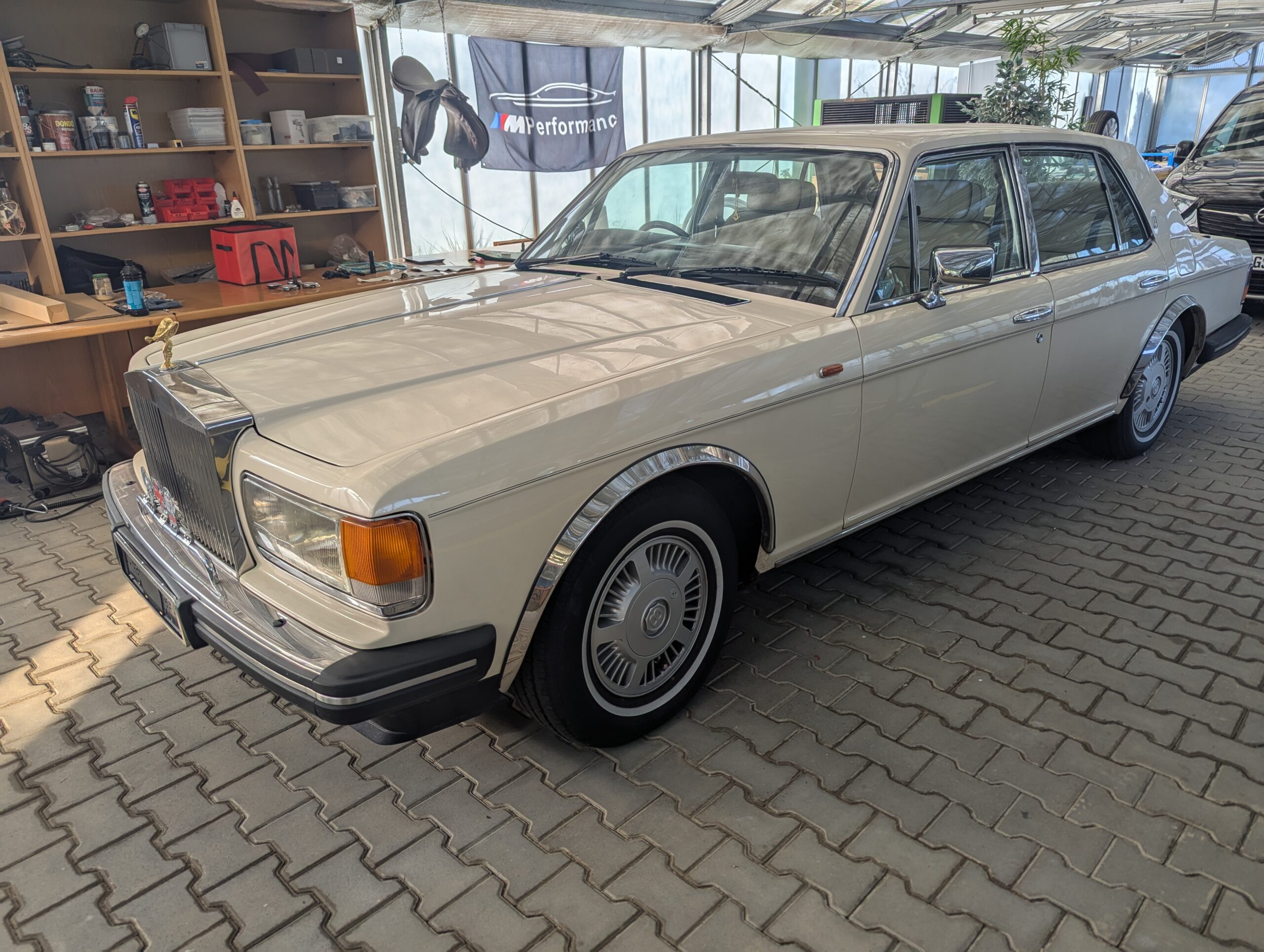 PXL_20250416_061808417